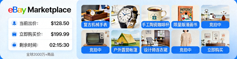 eBay拍卖竞价界面与多样化商品展示，体现其多元与灵活的 marketplace 特性