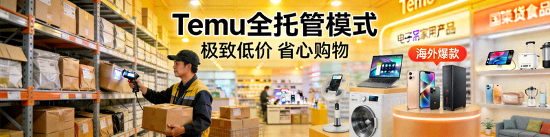 Temu国内集货仓与海外爆款商品图，体现其全托管与极致低价模式