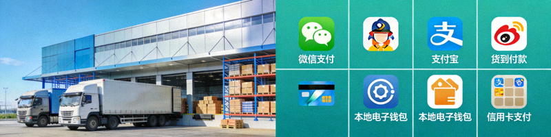 本地化物流仓库与多样化的当地支付方式图标集合