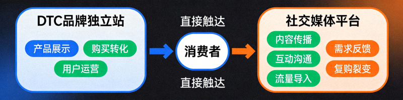 DTC品牌独立站与社交媒体直接触达消费者的商业模式示意图